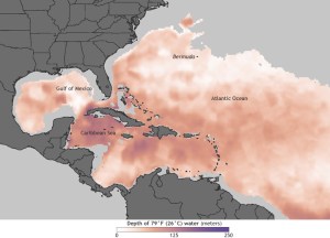 Climate Watch Magazine